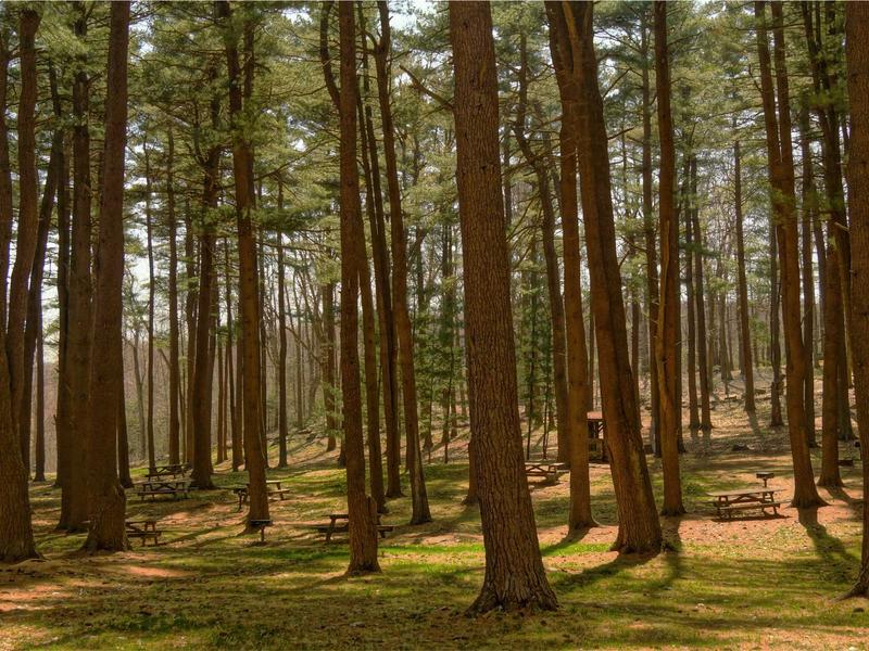 sudoku windows app screenshot 4